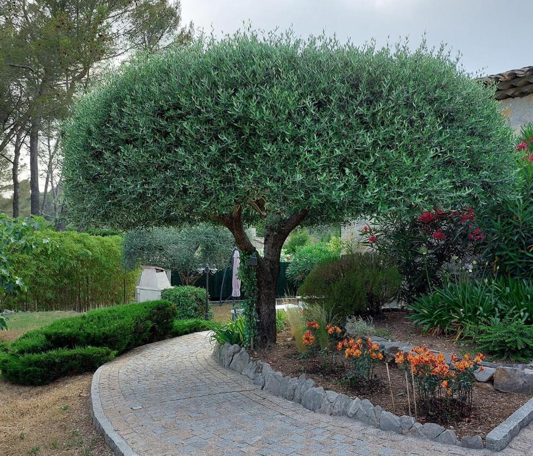 Gite Les Pins Climatise Piscine Chauffee Jardin Peymeinade ภายนอก รูปภาพ