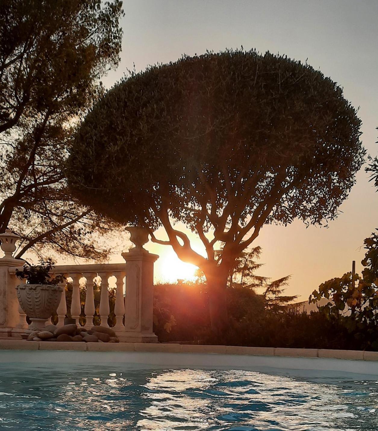 Gite Les Pins Climatise Piscine Chauffee Jardin Peymeinade ภายนอก รูปภาพ
